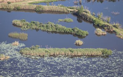 Southwest Coastal Louisiana Feasibility Study