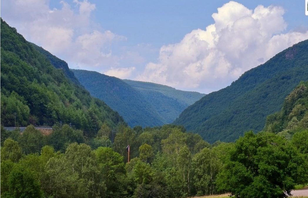 BEM USDA Forestry Service – Blanket Purchase Agreement (BPA)