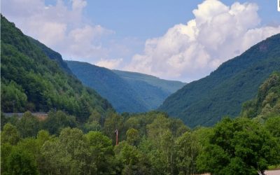 BEM USDA Forestry Service – Blanket Purchase Agreement (BPA)