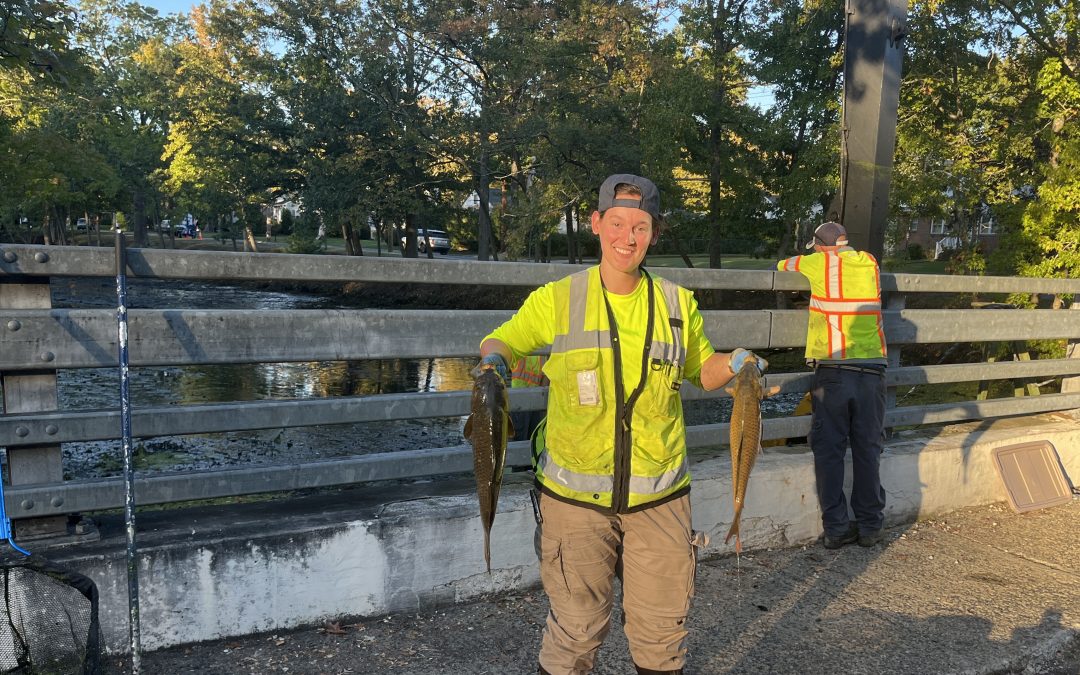 The Rescue of 752 New Jersey Indigenous Fish
