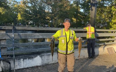 The Rescue of 752 New Jersey Indigenous Fish